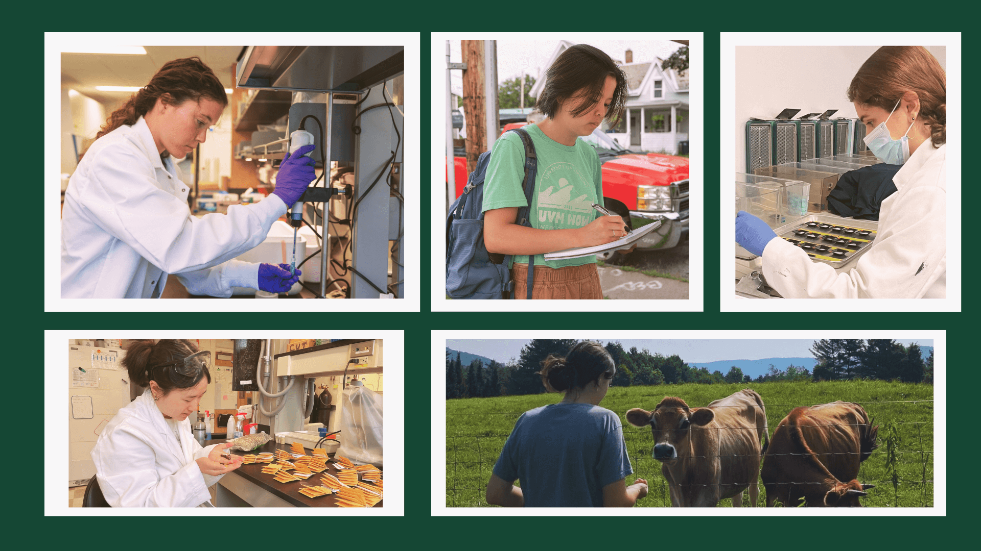 Students doing research in the lab and in the field.