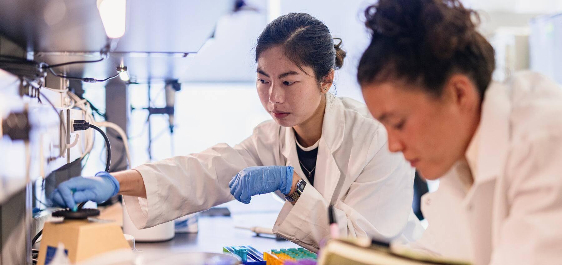 Two lab workers