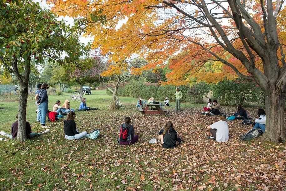 A group of students sitting outside in a circle in a grassy field covered in fallen leaves, image by Andy Duback