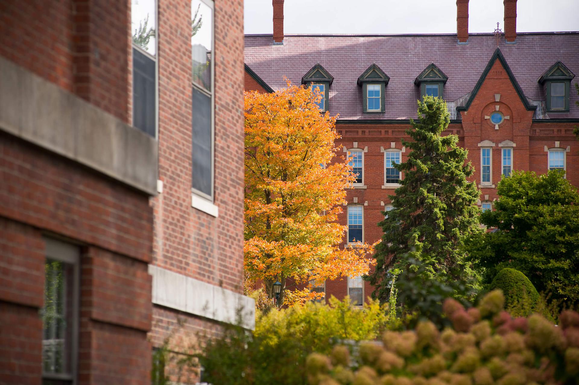 old mill building in fall