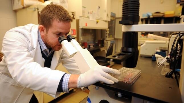 Sean Diehl working in a lab at a microscope