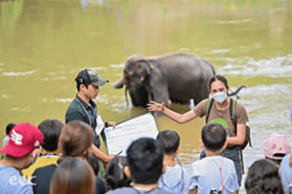 A group of people observes an elephant playing in the wate