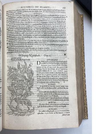 Open textbook