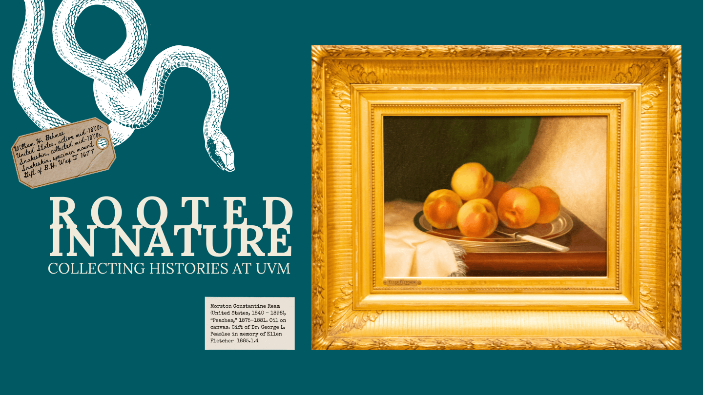An oil painting of peaches in a gilded frame; an illustrated white snake approached and text reads "Rooted in Nature"