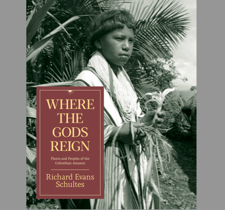 Where the Gods Reign book cover