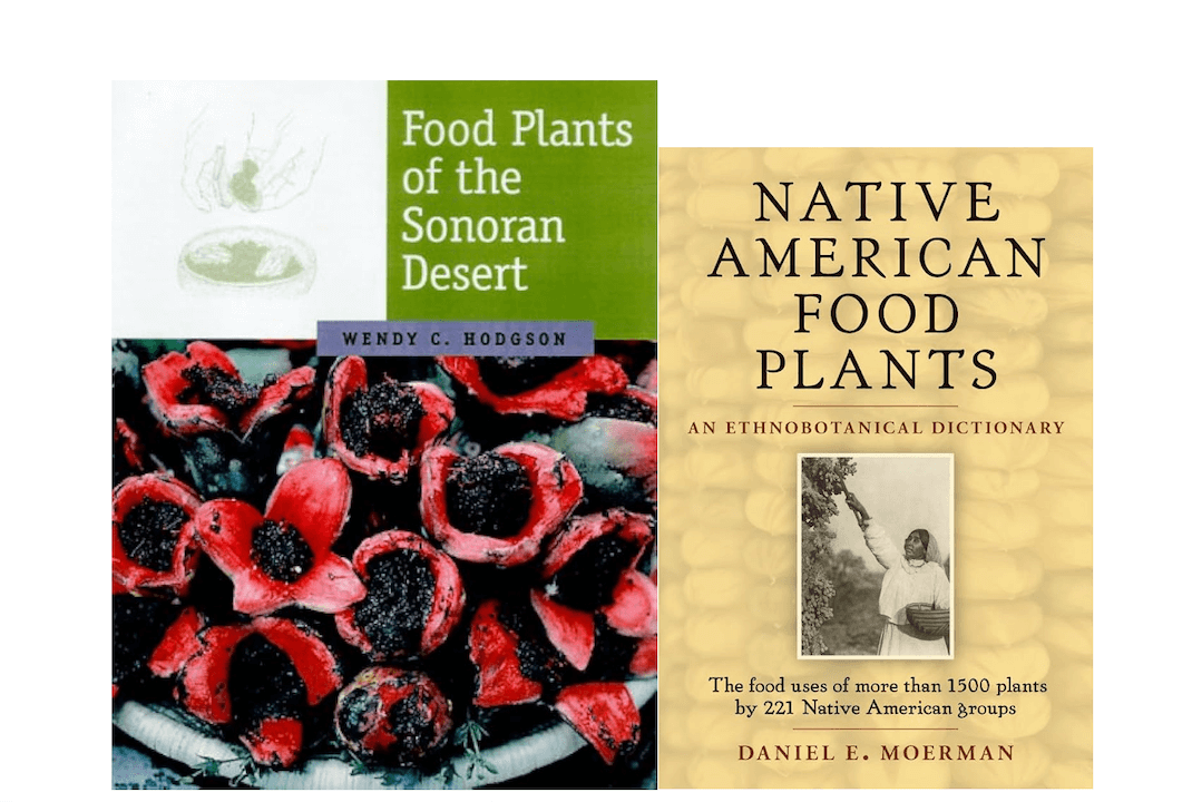 Desert and Native American food book covers