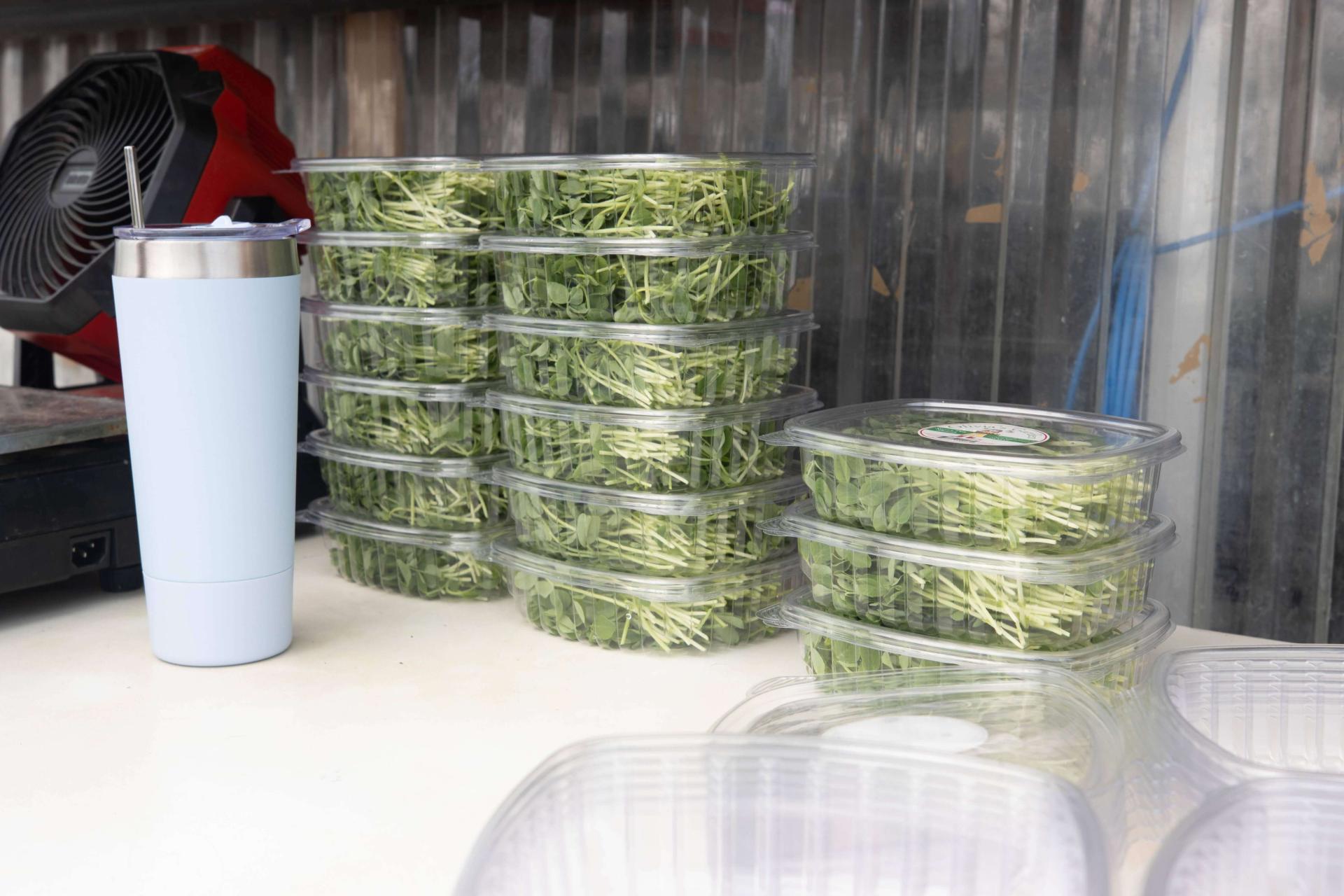 NECAFS single use packaging