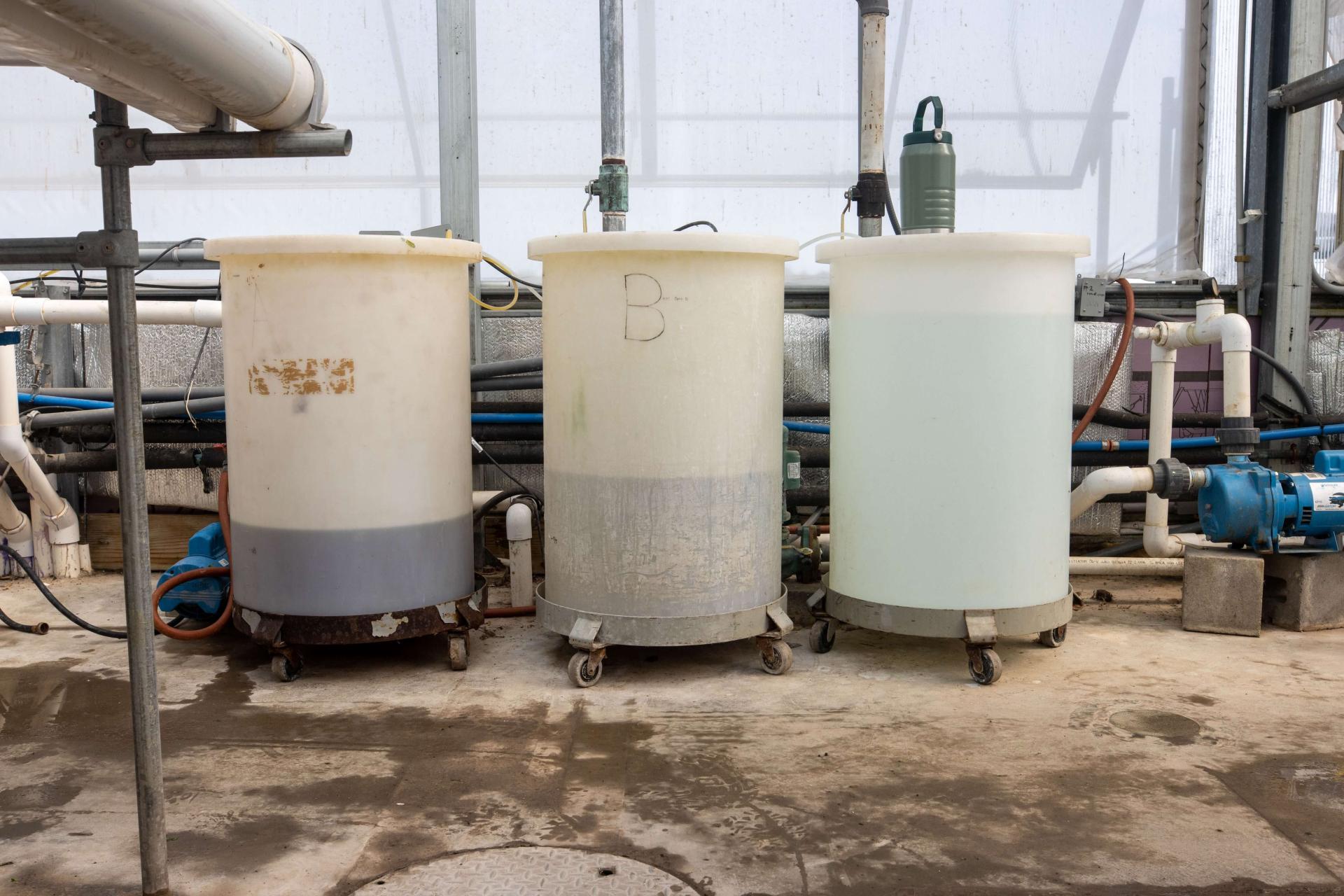 NECAFS water treatment
