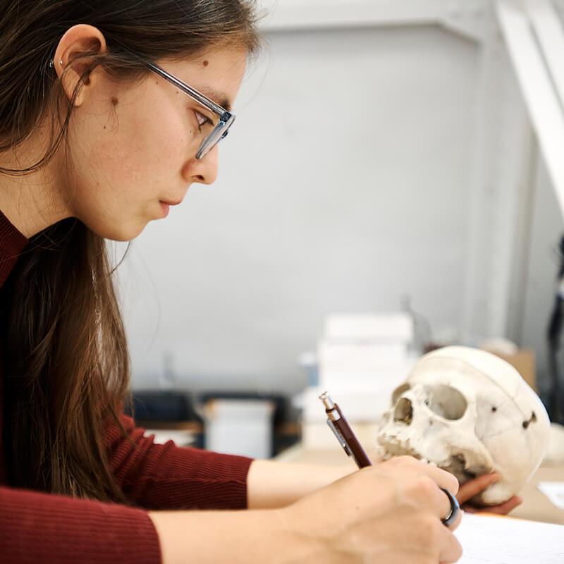 A person writing a note on a sheet of paper while observing a skull