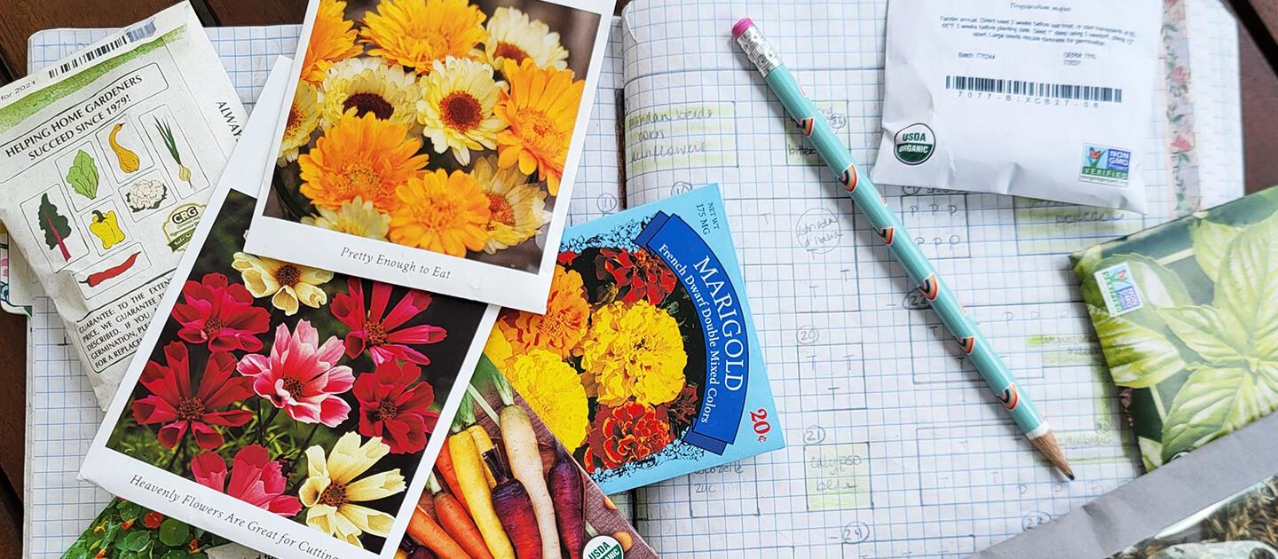 seed packets on top of graph paper with garden plots on it