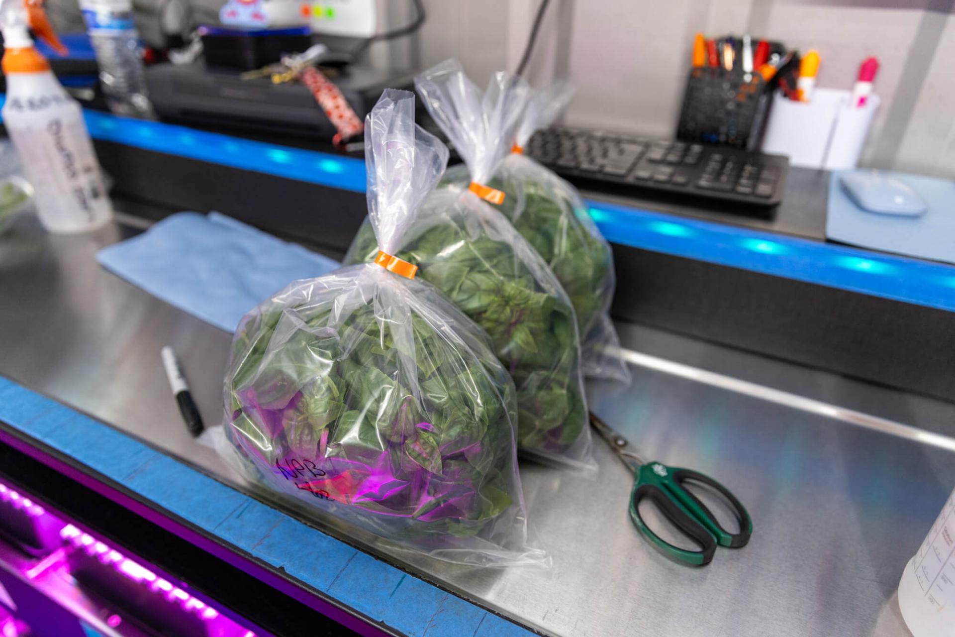 Bagged Spinach