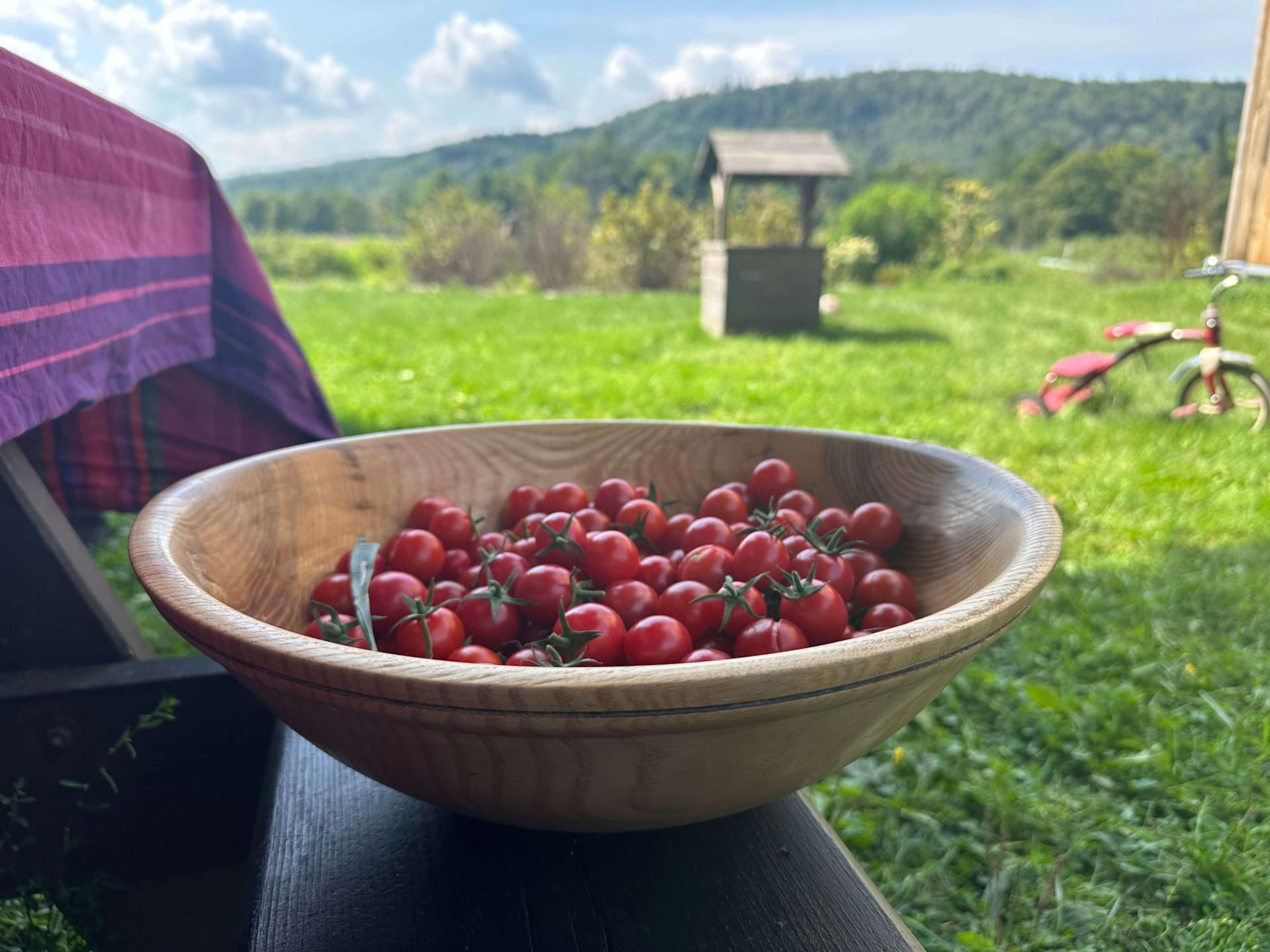 A wooden bowl filled with cherry tomatoes with a field, well, and mountain in the background