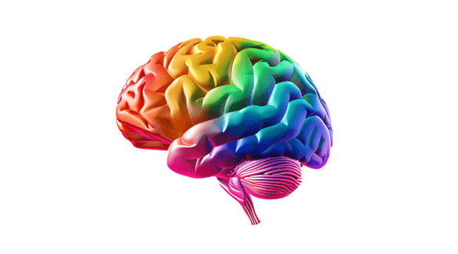 a colorful graphic image of a human brain