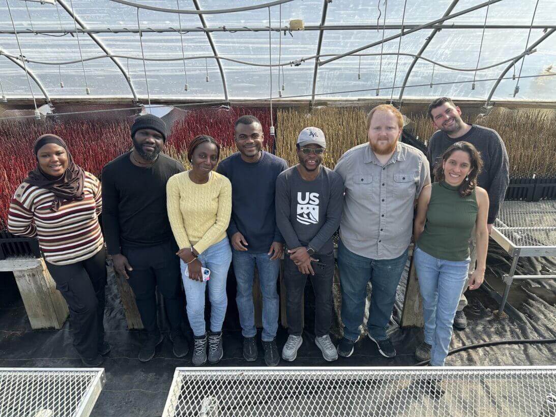 International students volunteering at Intervale Center