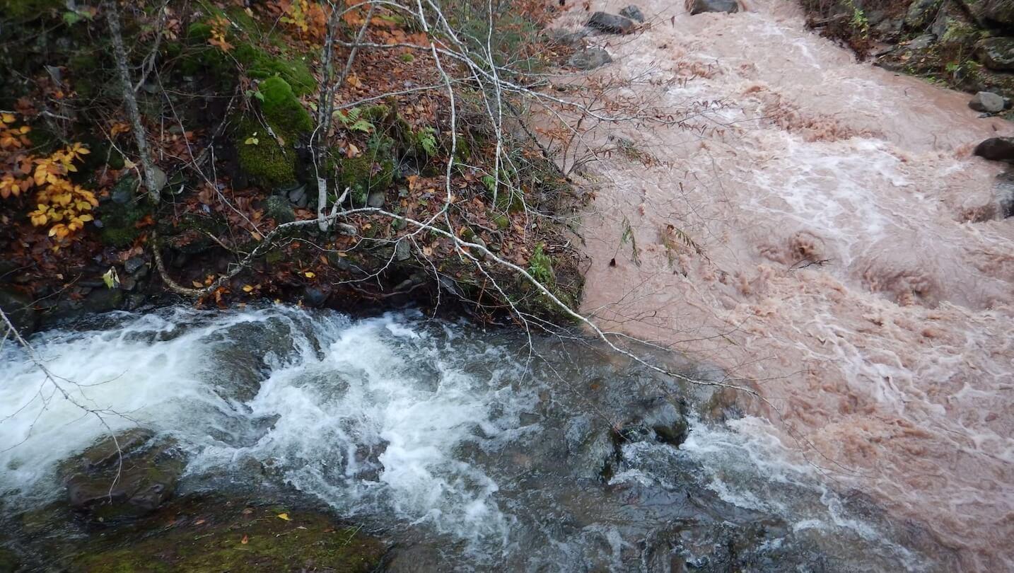 Clear and turbid waters mix in the Upper Esopus Creek. 