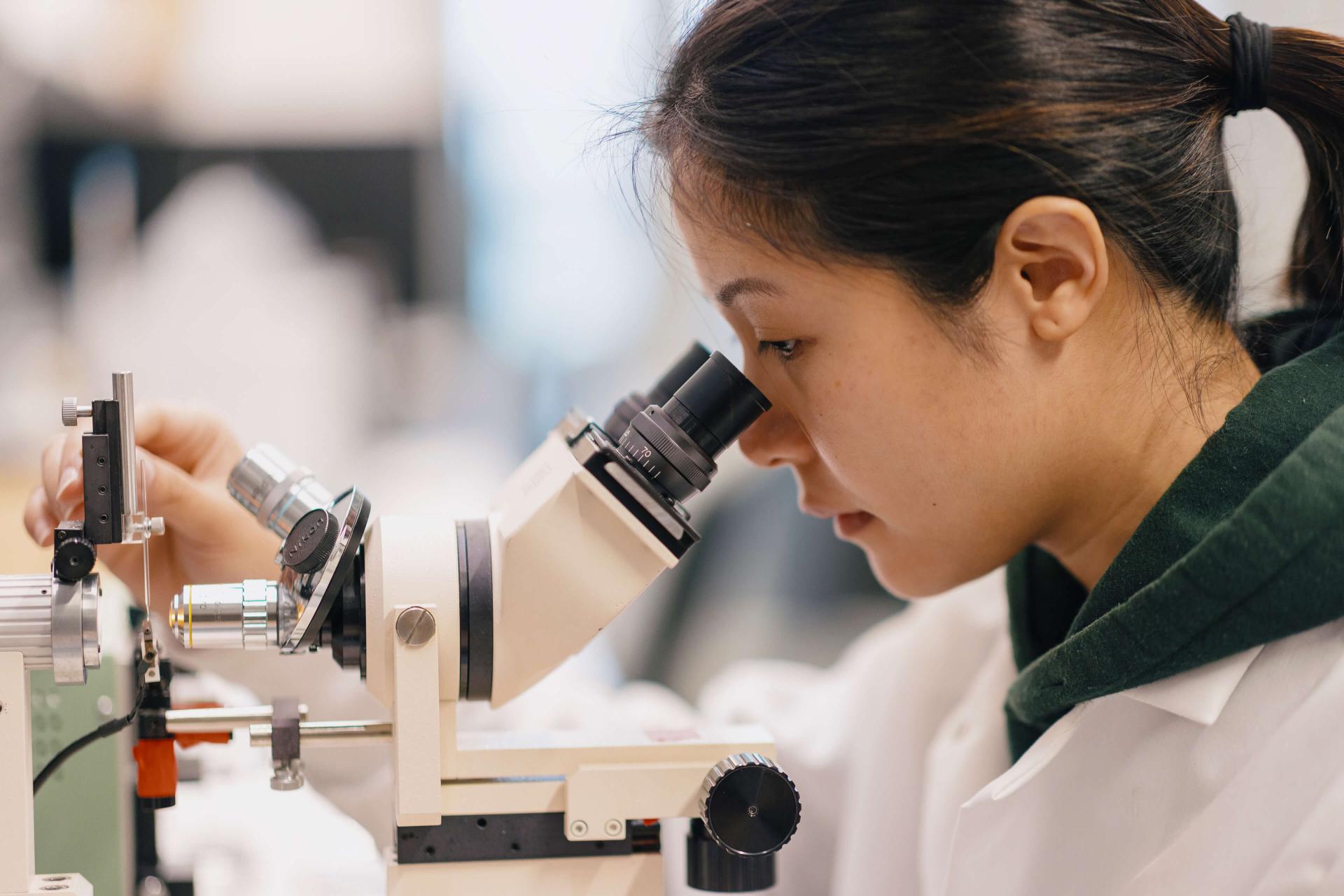 A student looks through a microscope