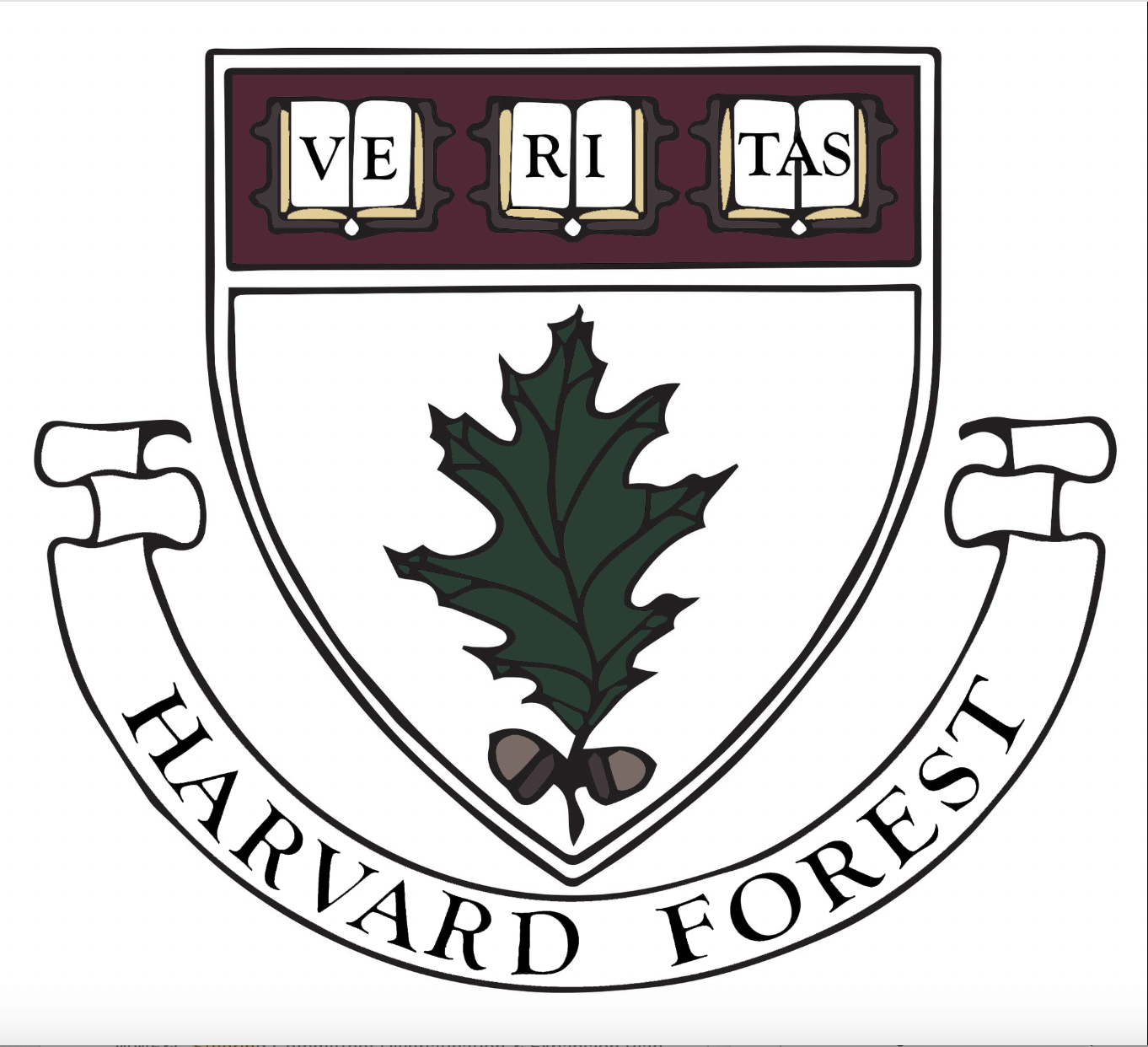 logo: harvard forest