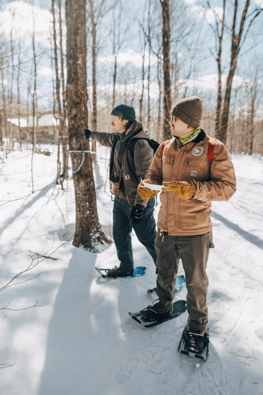 Two brewers in a maple forest with snow shoes surrounded by sap tubing