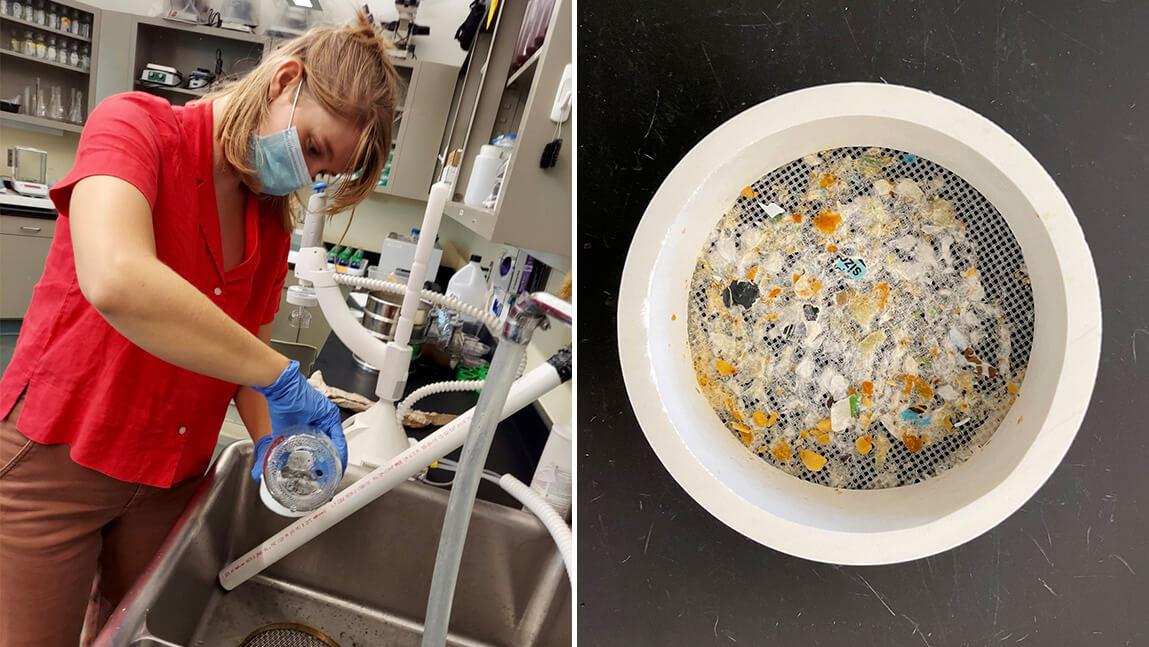 Two photos, the left side is graduate student Kate Porterfield in a lab, the right side shows a seive with microplastics caught in it