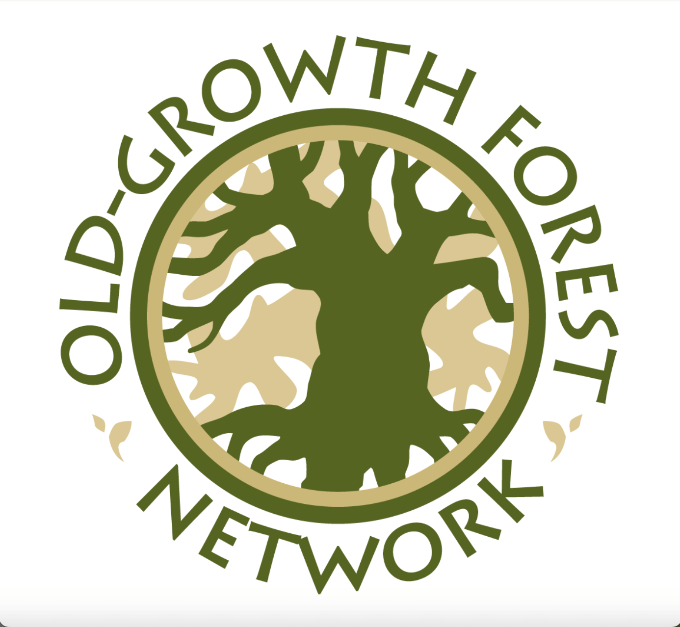 logo: old-growth forest network