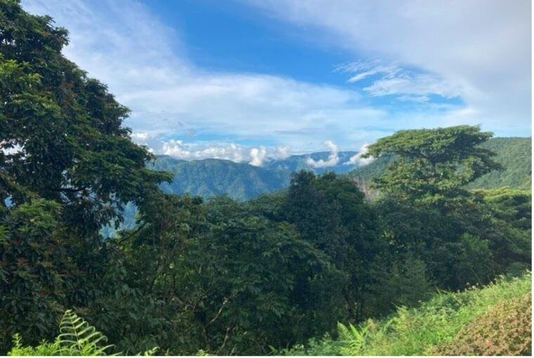 Emerald Views of Northeast of India