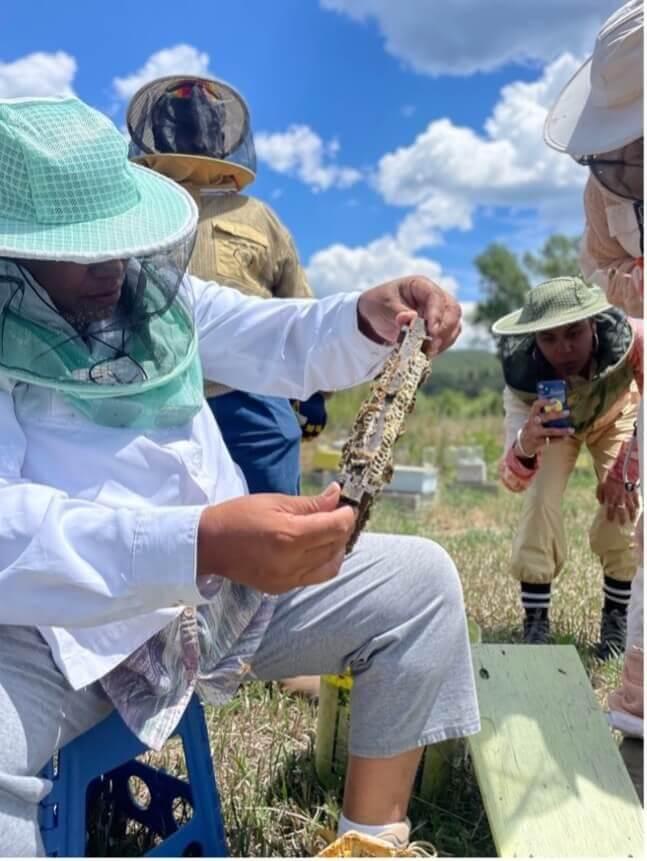 Beekeepers