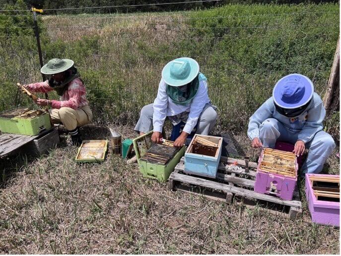 Northeast LGBTQIA+//BIPOC Beekeepers Alliance participants