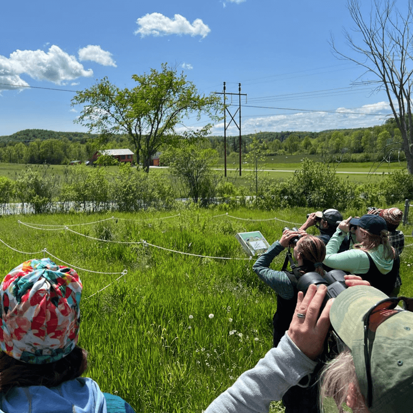 Group of people bird watching
