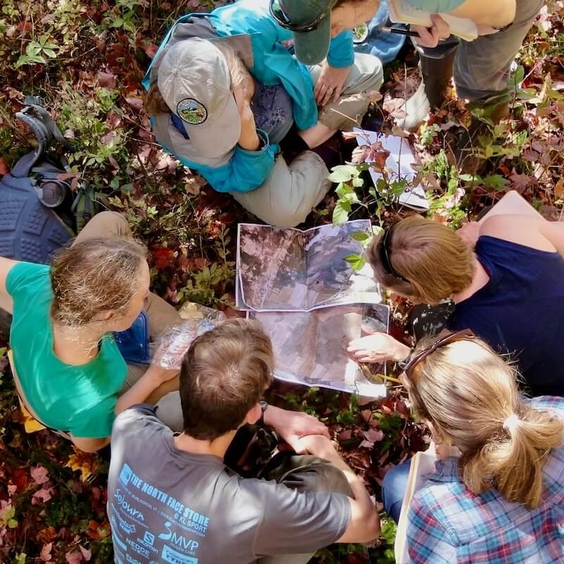 seen from above, five people gather around a map in the woods