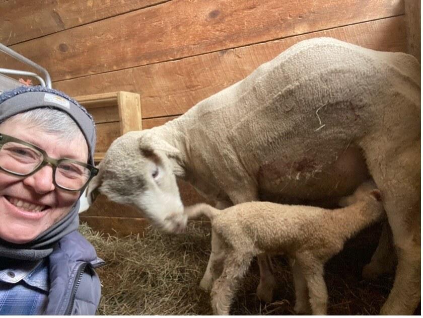 Jamie Skye Bianco’s first lambs of 2025