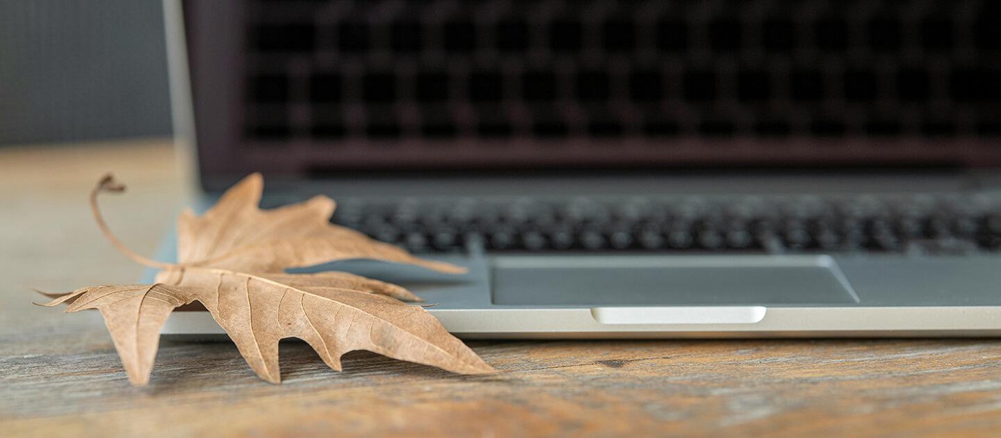 a dry maple leaf sitting on an open laptop