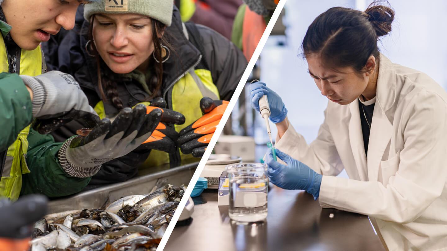 Image collage showing students on a research boat and a student in the lab