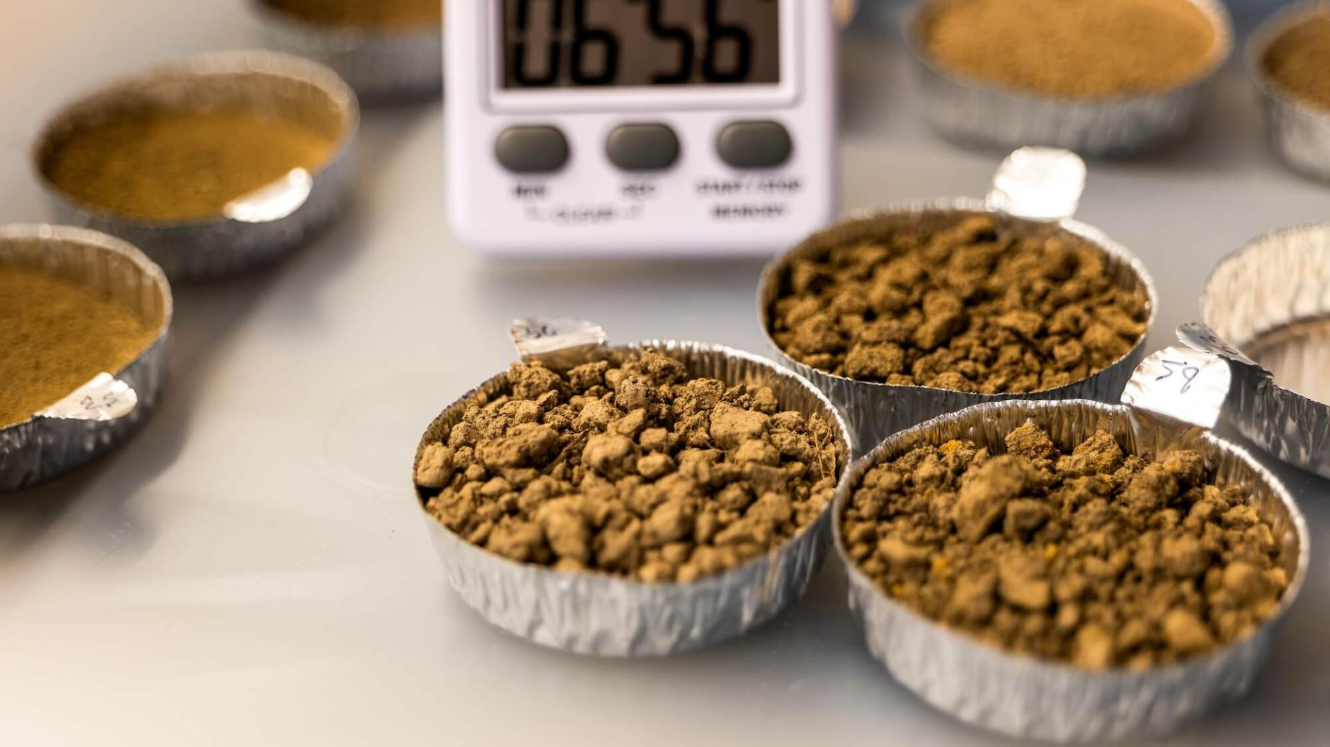 Soil sample cups