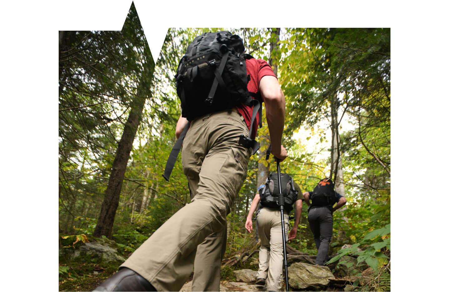 Hikers on trail