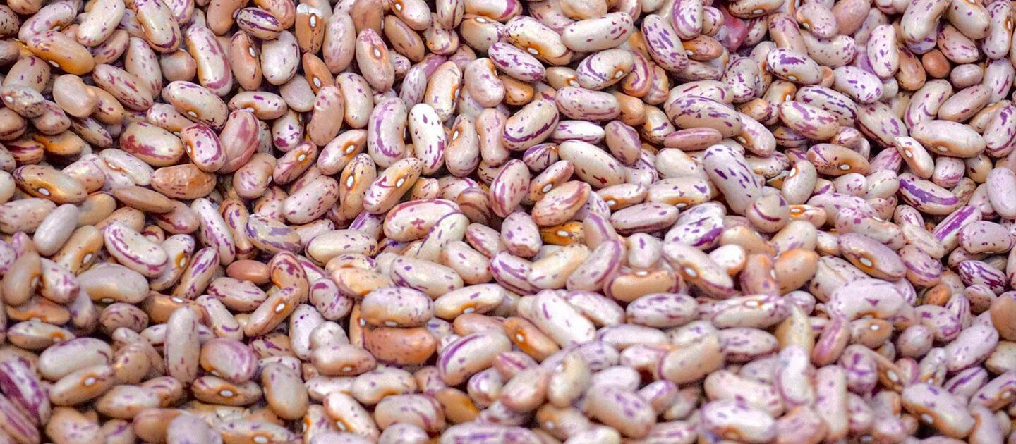 a bunch of dried beans