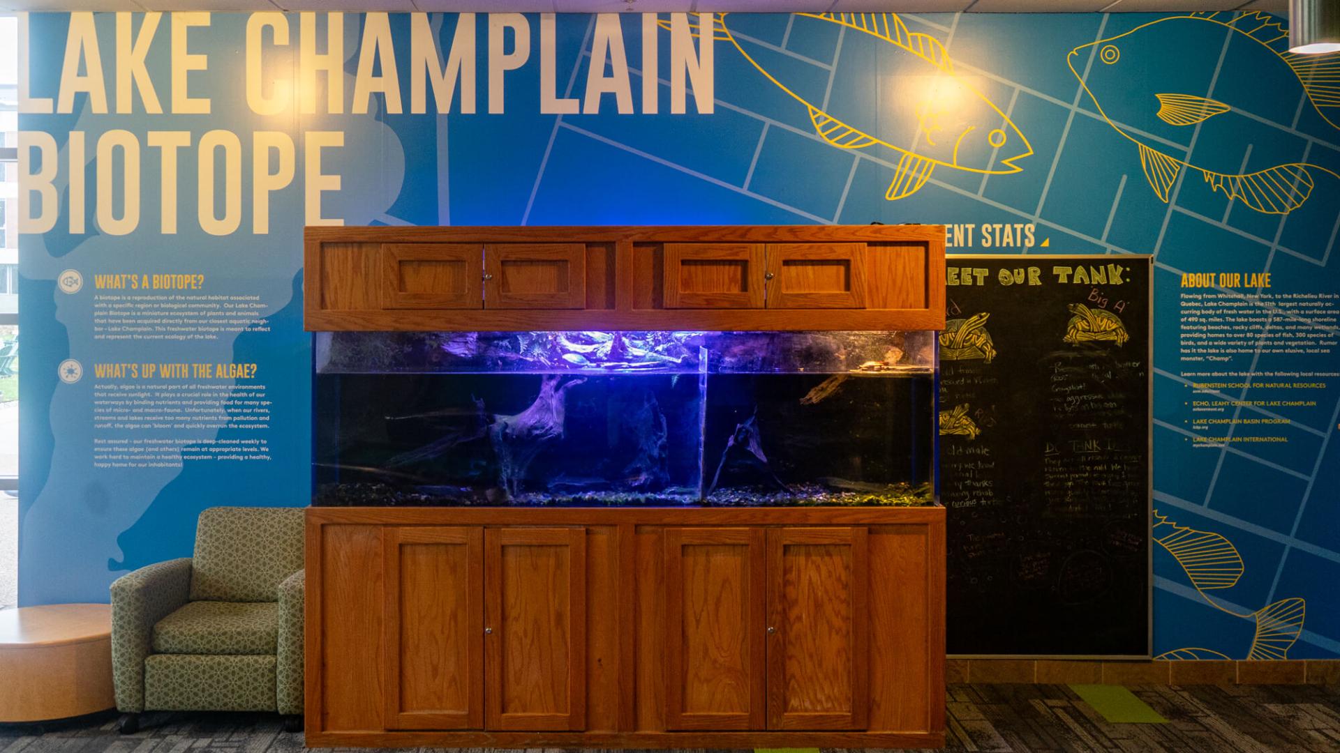wooden fish tank with blue informational wall behind it