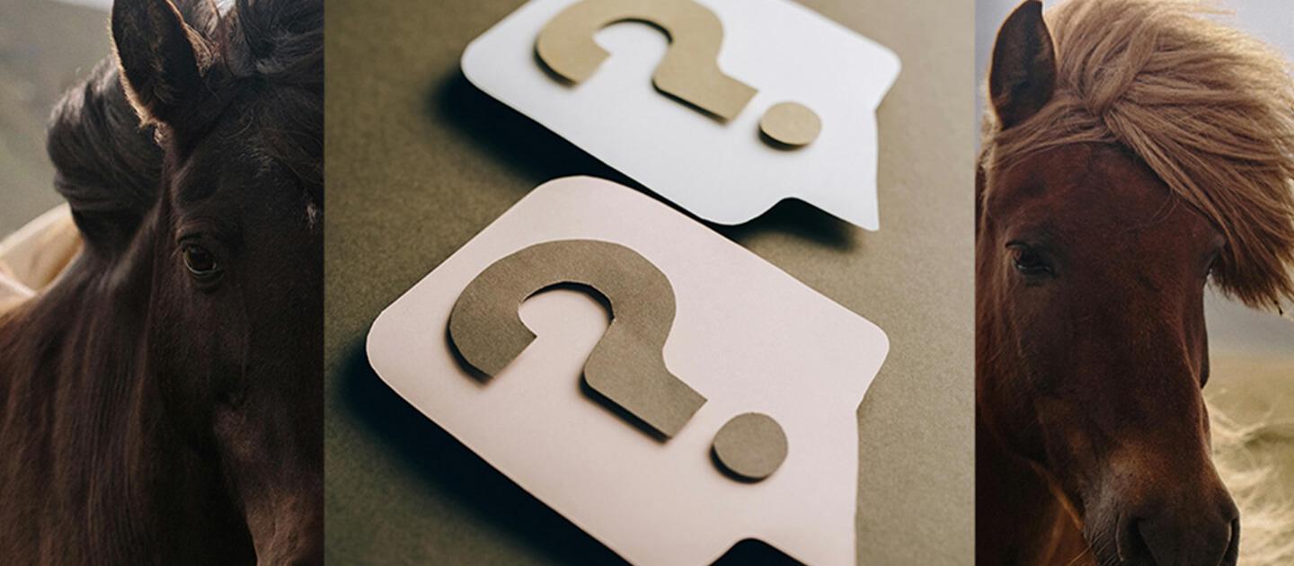 paper cutout question marks overlayed on a picture of two horses
