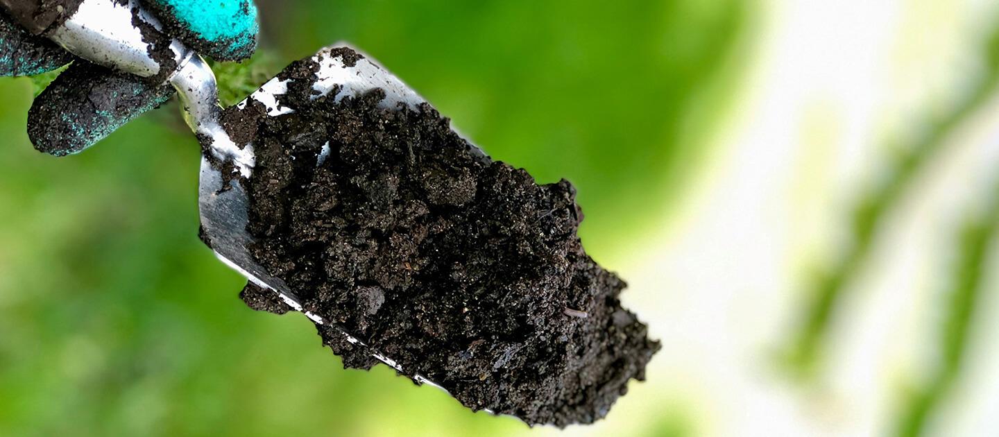 a trowel full of wet soil