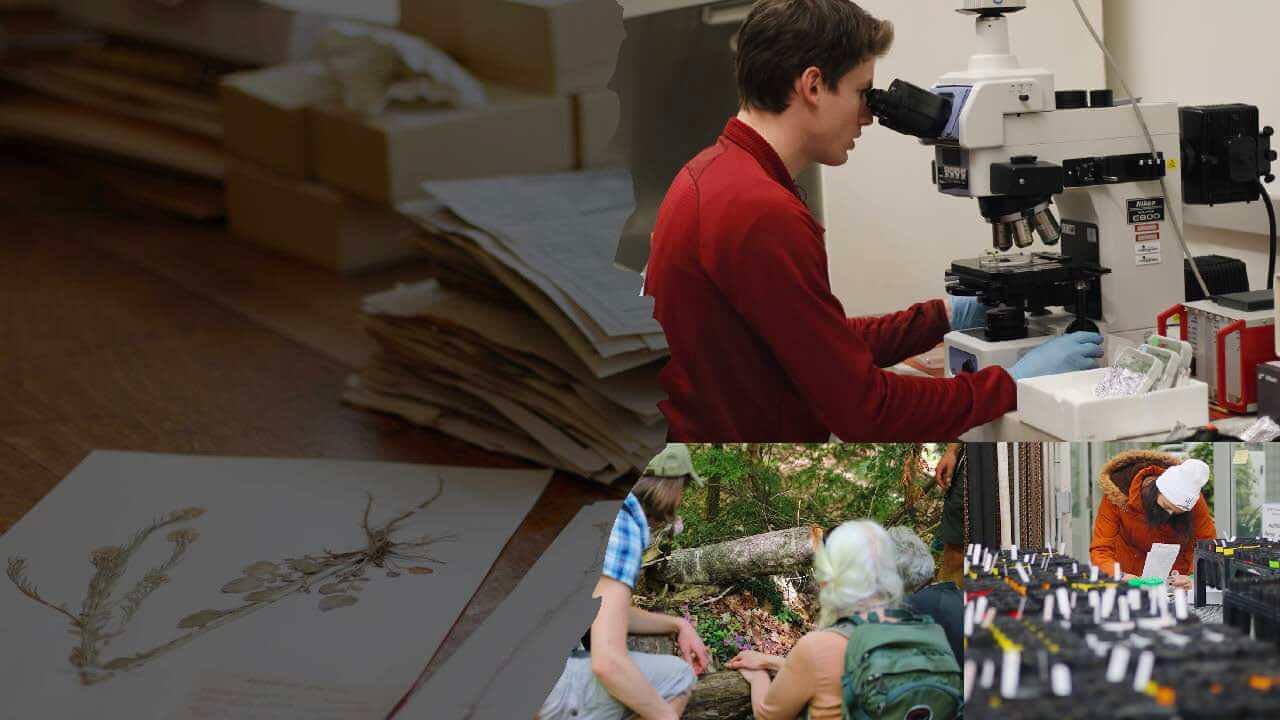 Collage of pbio students