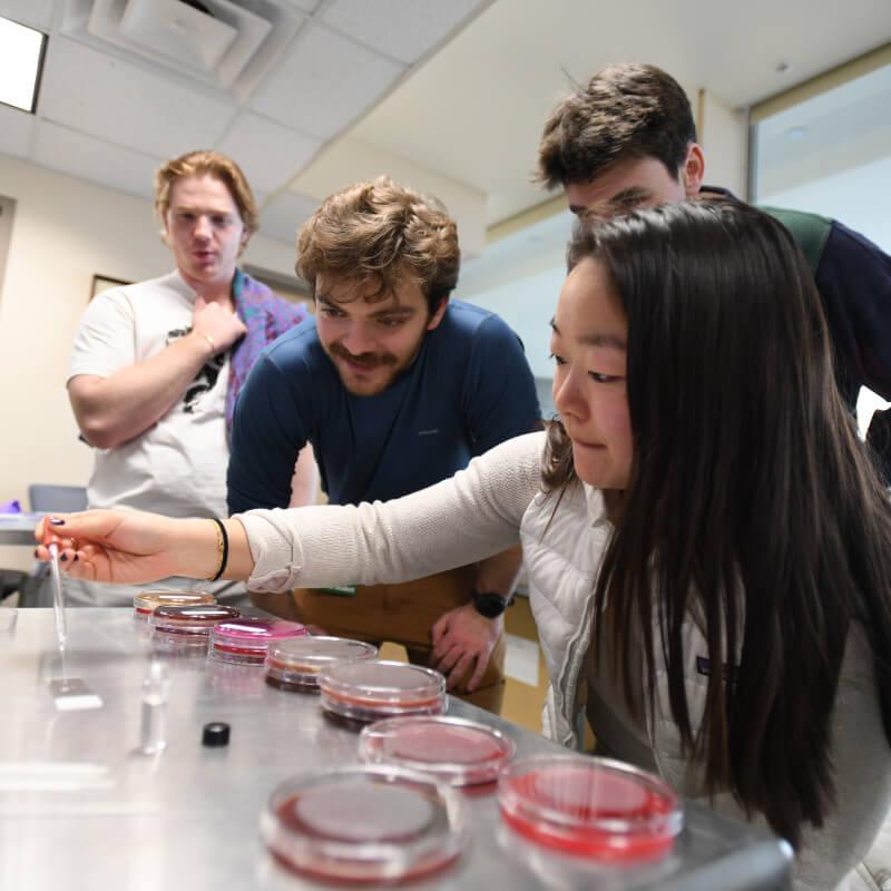 group of students experimenting in a lab