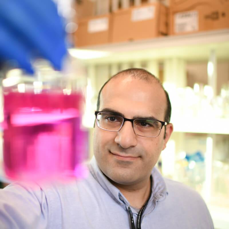 scientist looking at pink liquid in a beaker