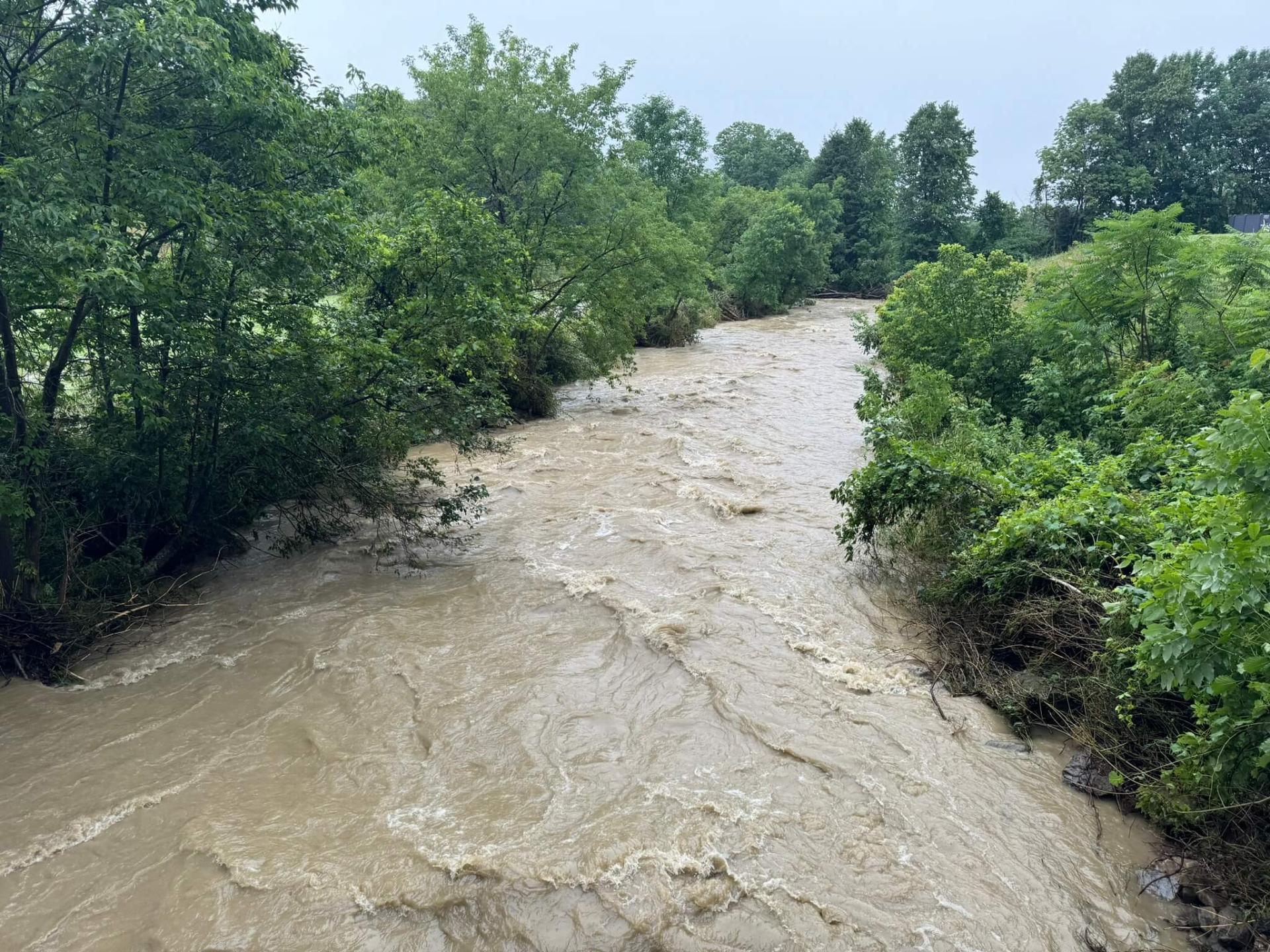 Lewis Creek