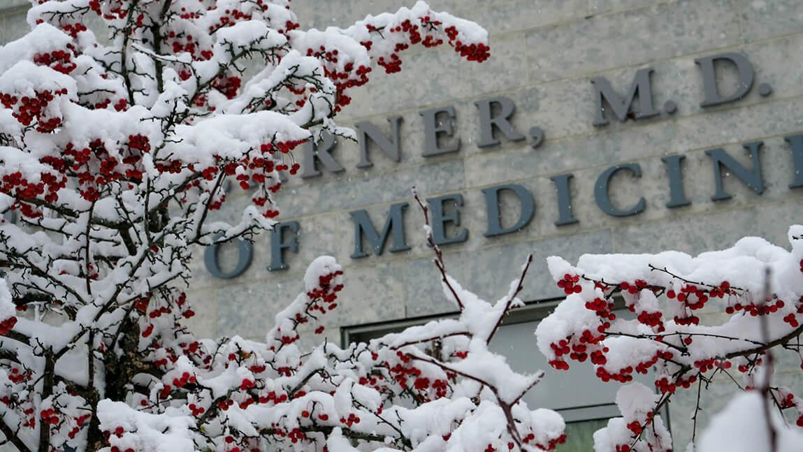 Snow on trees with red berries, Larner College of Medicine signage in the background