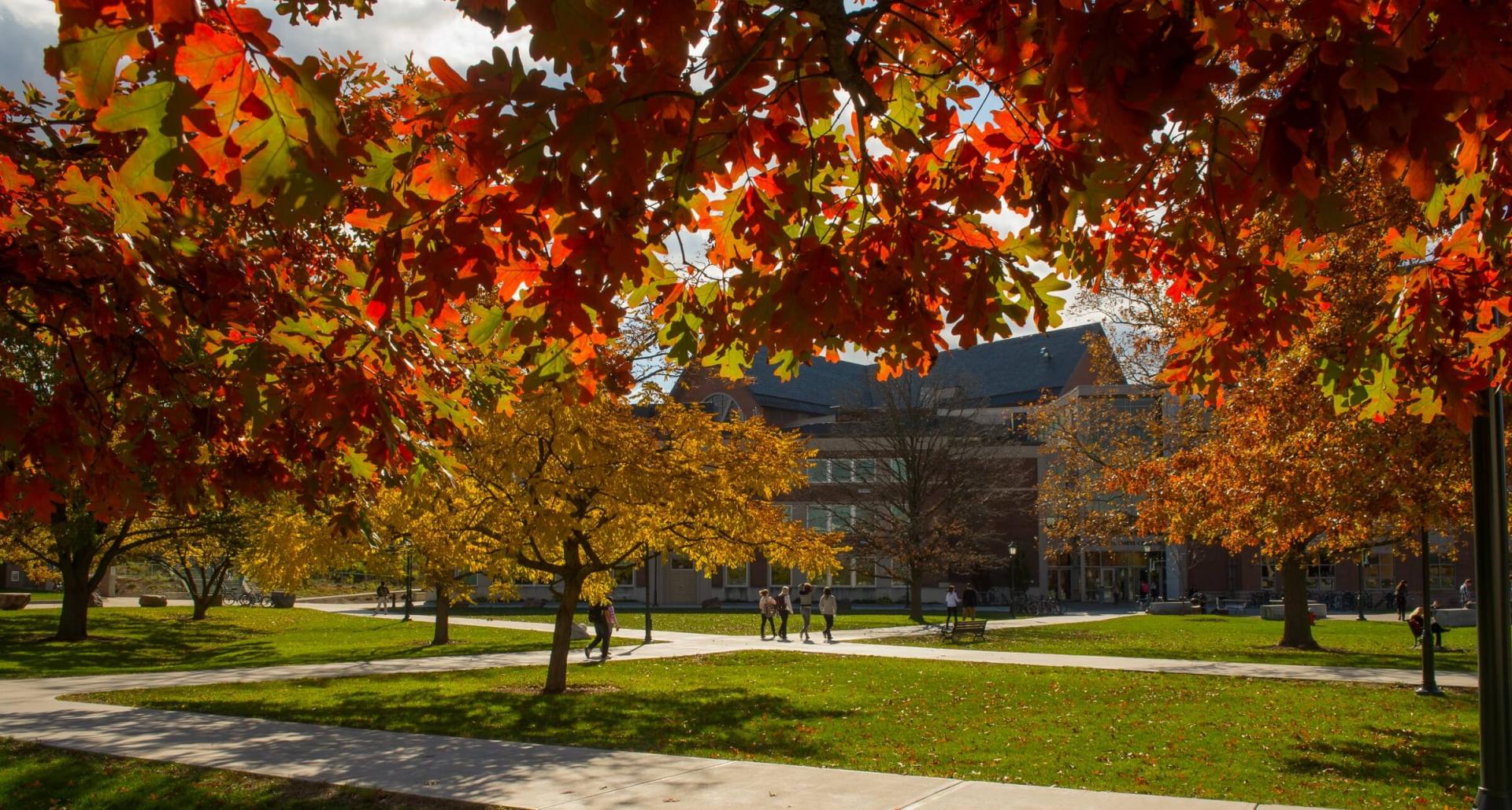 photo of university building surrounded by fall foliage
