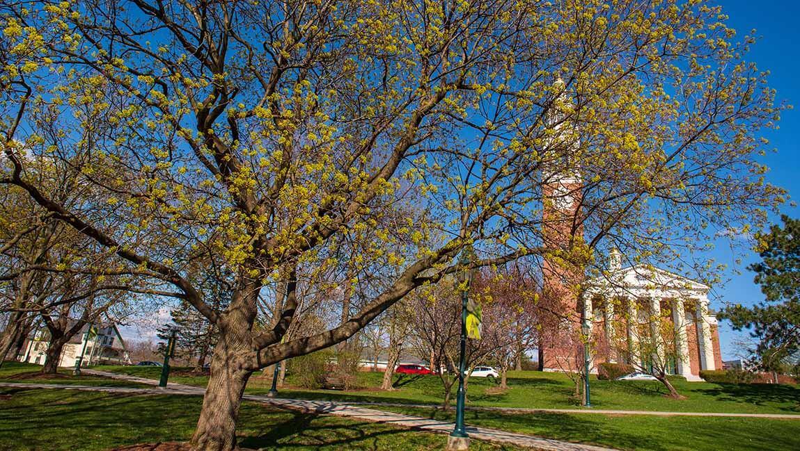spring campus
