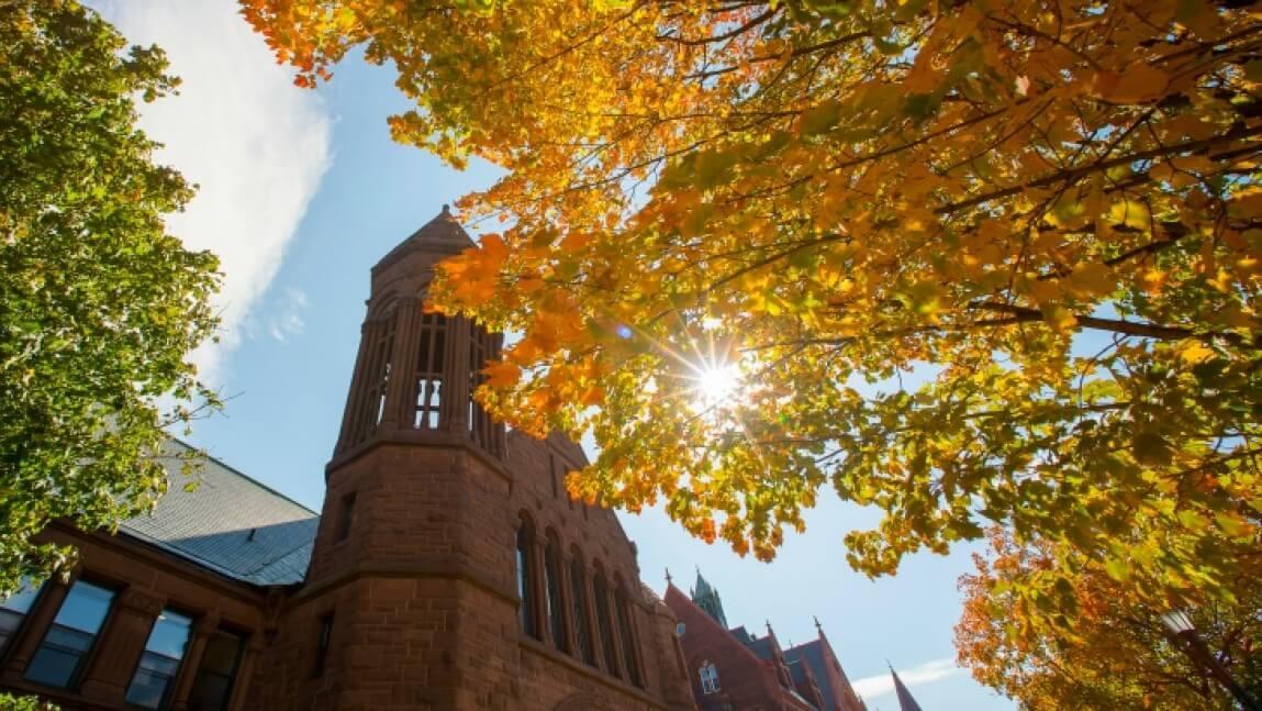 Yellow leaves on UVM campus with view of Old Mill Building