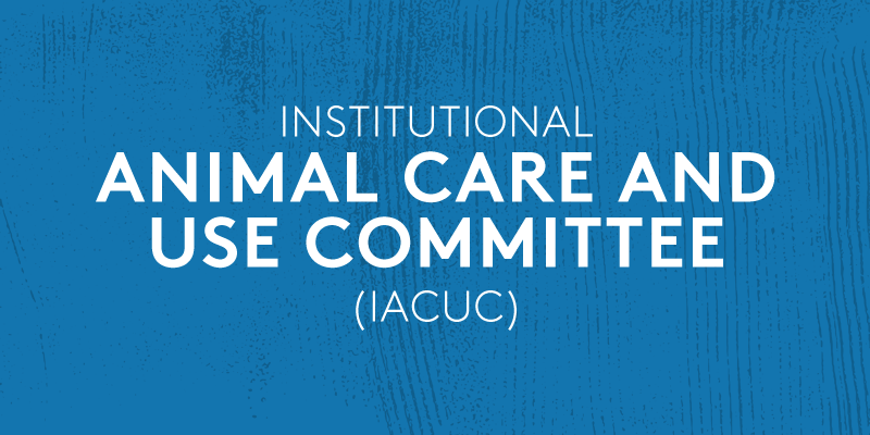 Institutional Animal Care and Use Committee