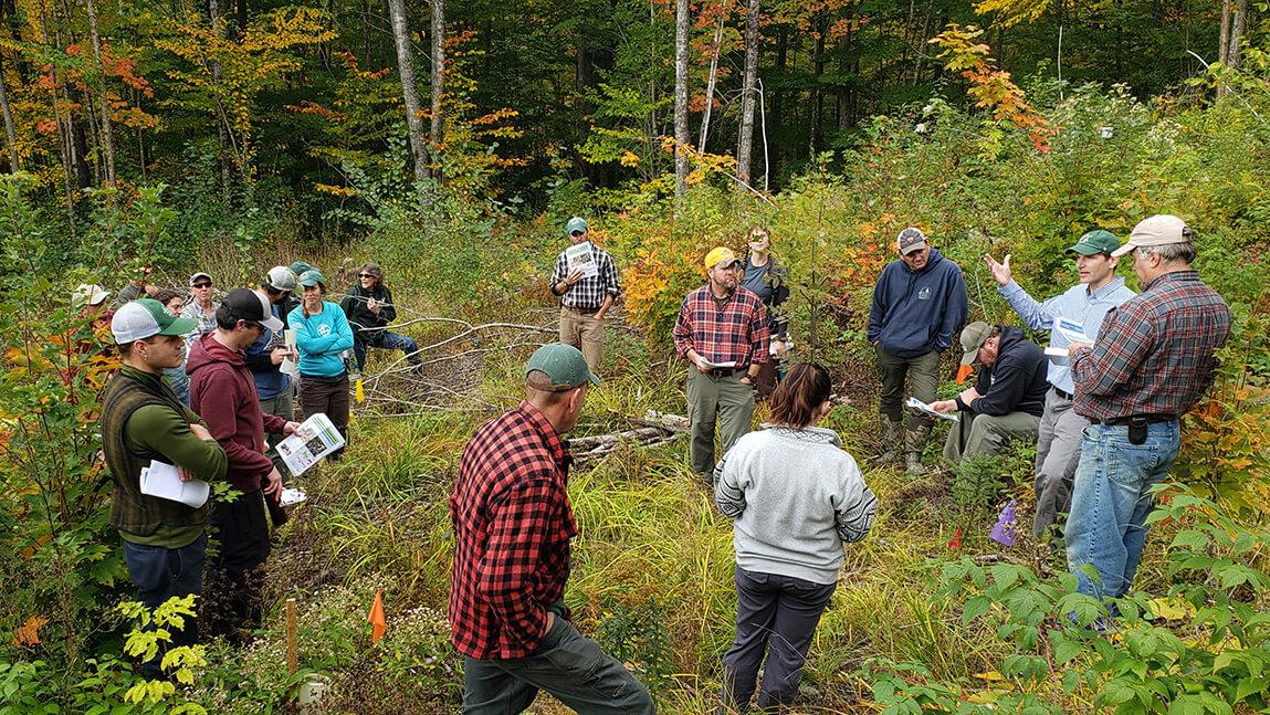 Group of people in forest clearing learn about research