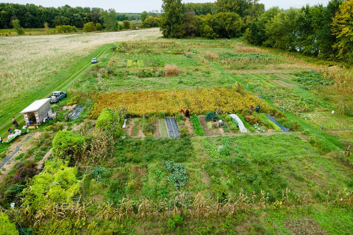 An aerial view of a farm. 