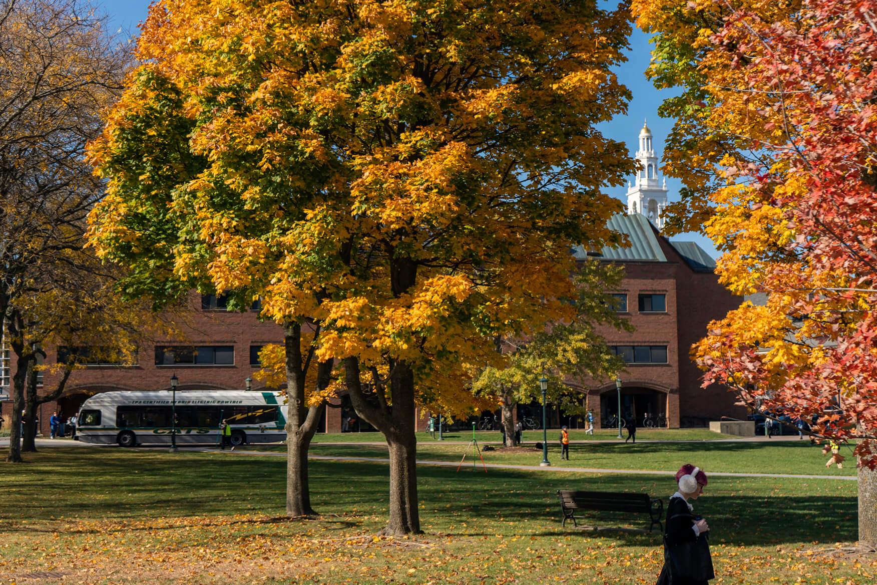 GSB Campus Behind Fall Trees
